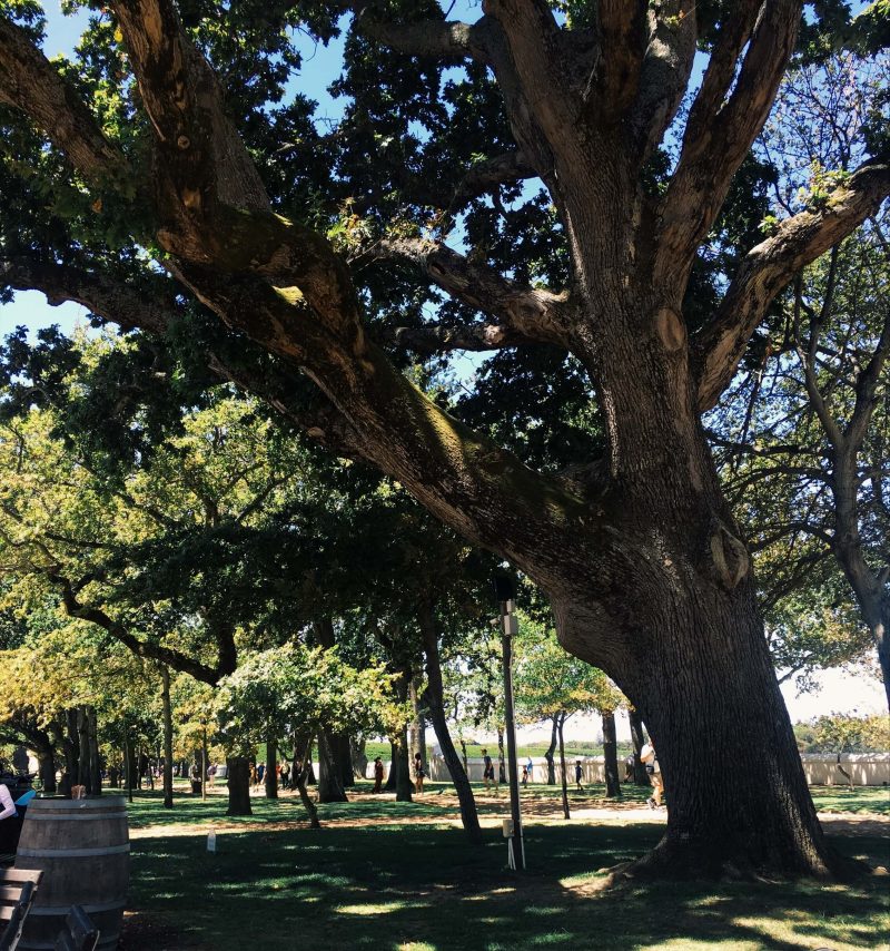 jonkershuis constantia topknotch blog